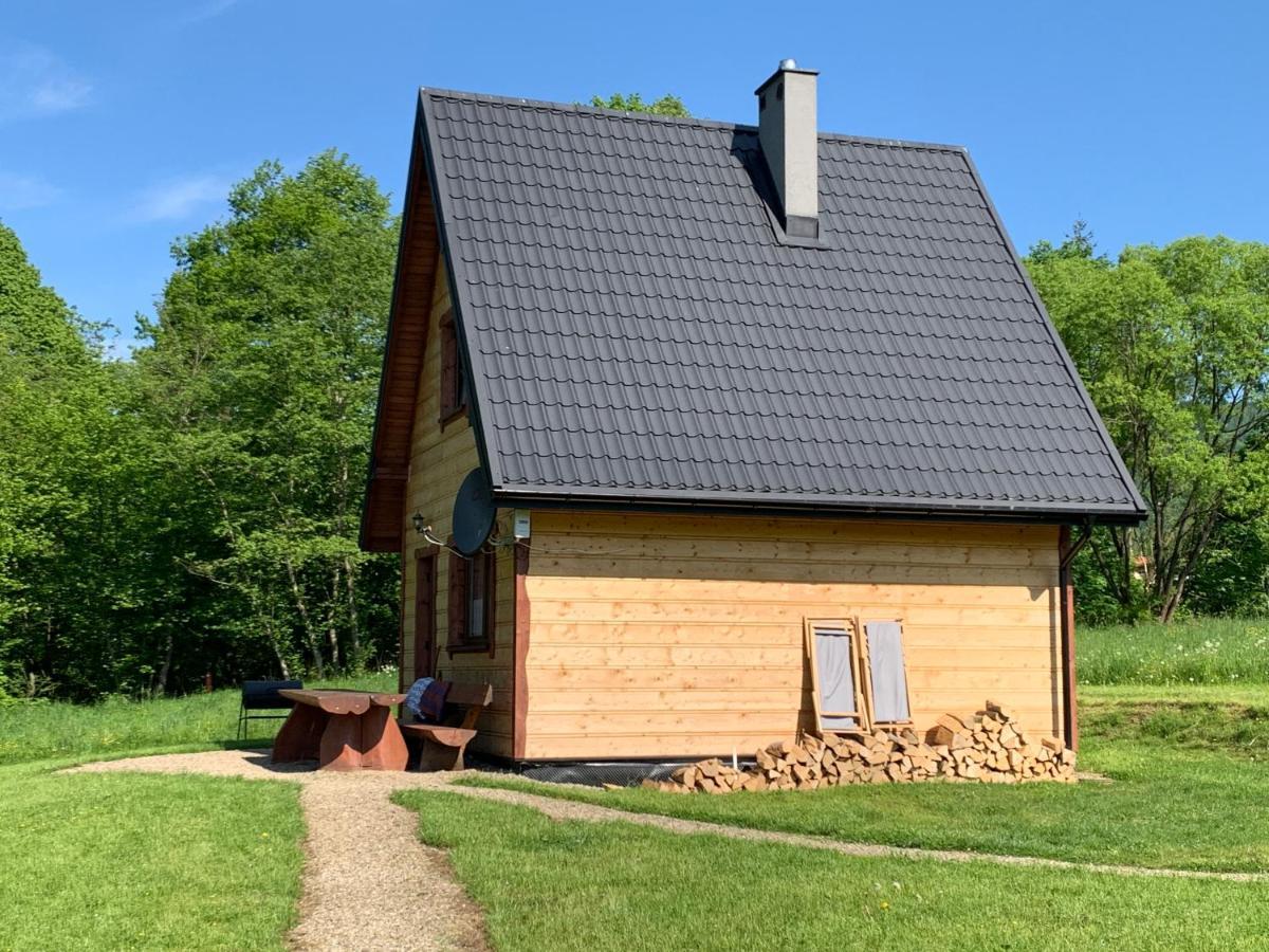 Dwernik Bukowina Bieszczady Villa Luaran gambar