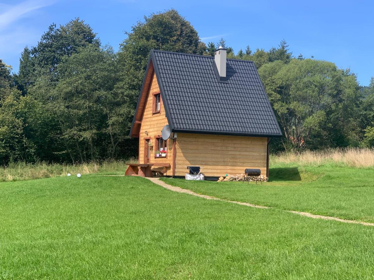 Dwernik Bukowina Bieszczady Villa Luaran gambar