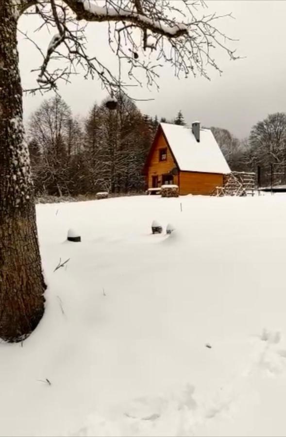 Dwernik Bukowina Bieszczady Villa Luaran gambar